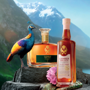 Gamber Valley-Solan-The Punch Magazine-top.png
